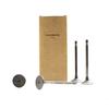Foto Avulsa