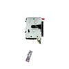 Foto Avulsa