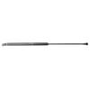 Foto Avulsa