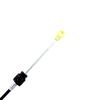 Foto Avulsa