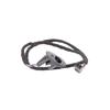 Foto Avulsa