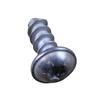 Foto Avulsa