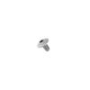 Foto Avulsa