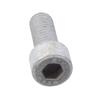 Foto Avulsa