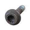 Foto Avulsa