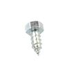 Foto Avulsa