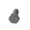Foto Avulsa