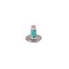 Foto Avulsa