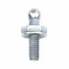Foto Avulsa