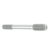 Foto Avulsa