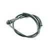 Foto Avulsa