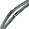 Foto Avulsa