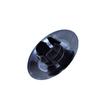 Foto Avulsa