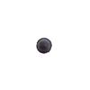 Foto Avulsa