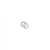 Foto Avulsa