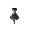 Foto Avulsa
