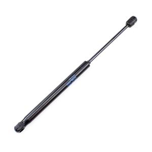 Foto Avulsa
