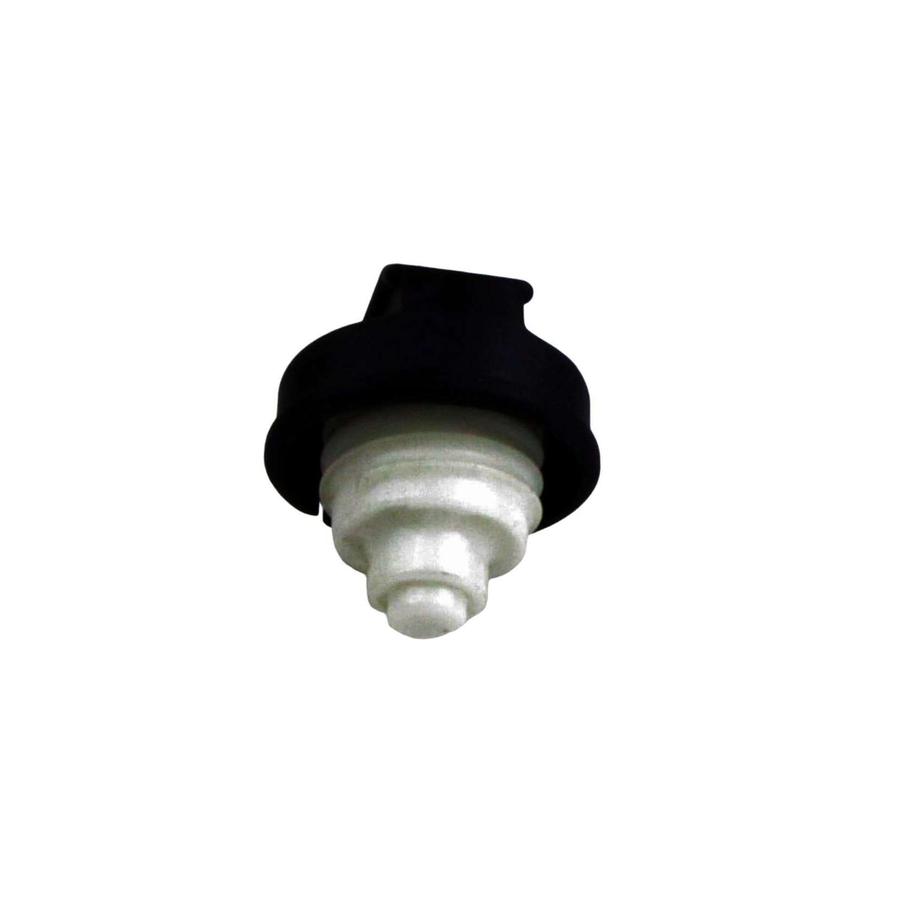 Foto Avulsa