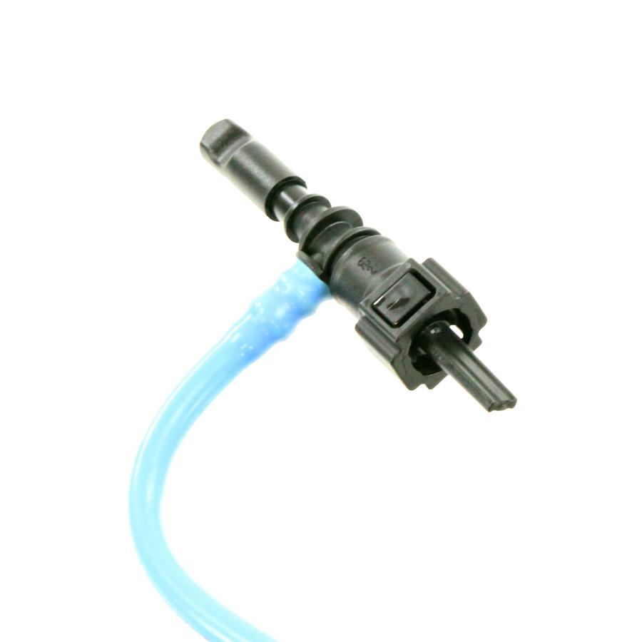 Foto Avulsa