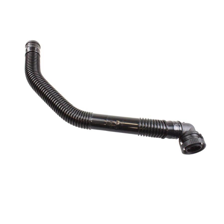 Foto Avulsa