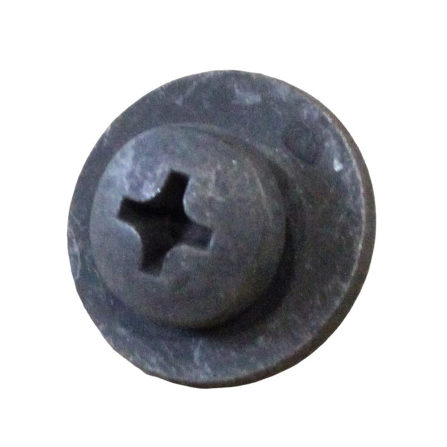 Foto Avulsa