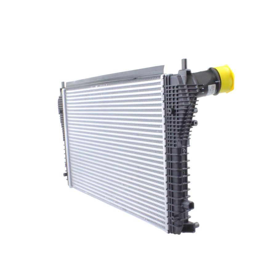 Foto Avulsa