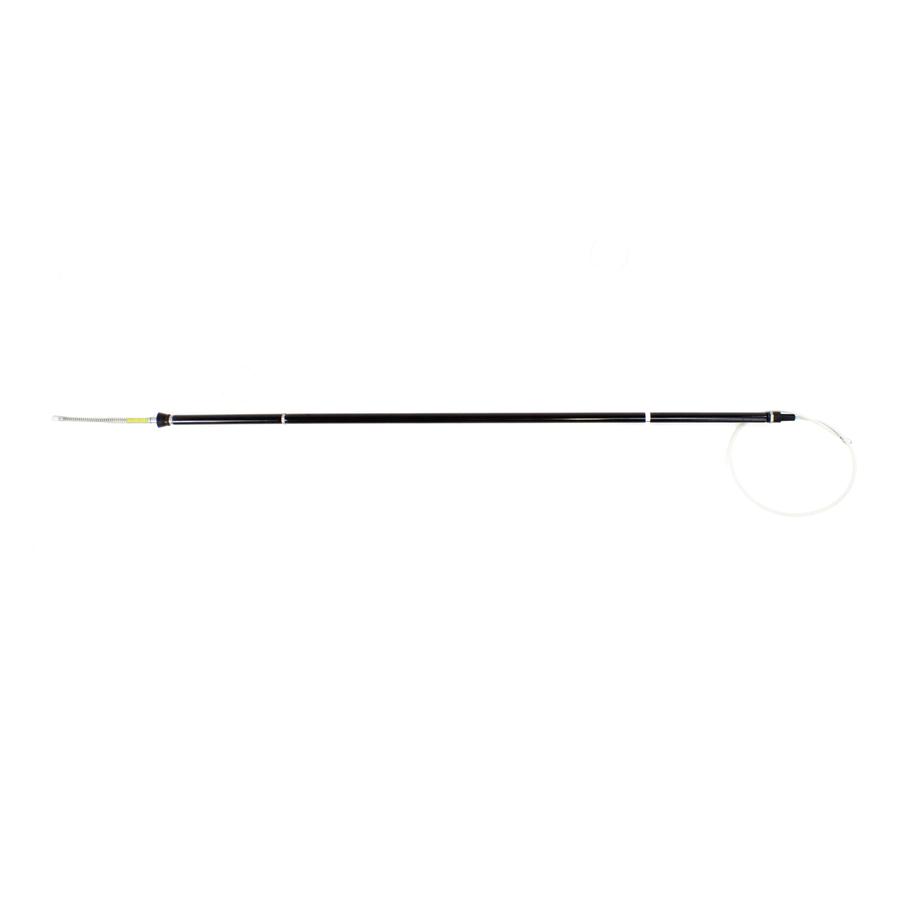 Foto Avulsa