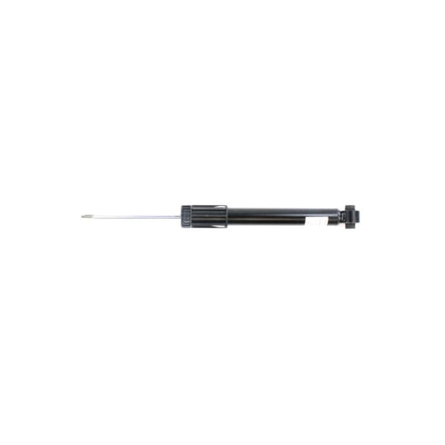 Foto Avulsa